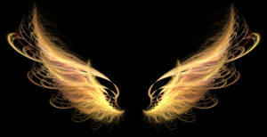 Demon Angel Fire hell Wings